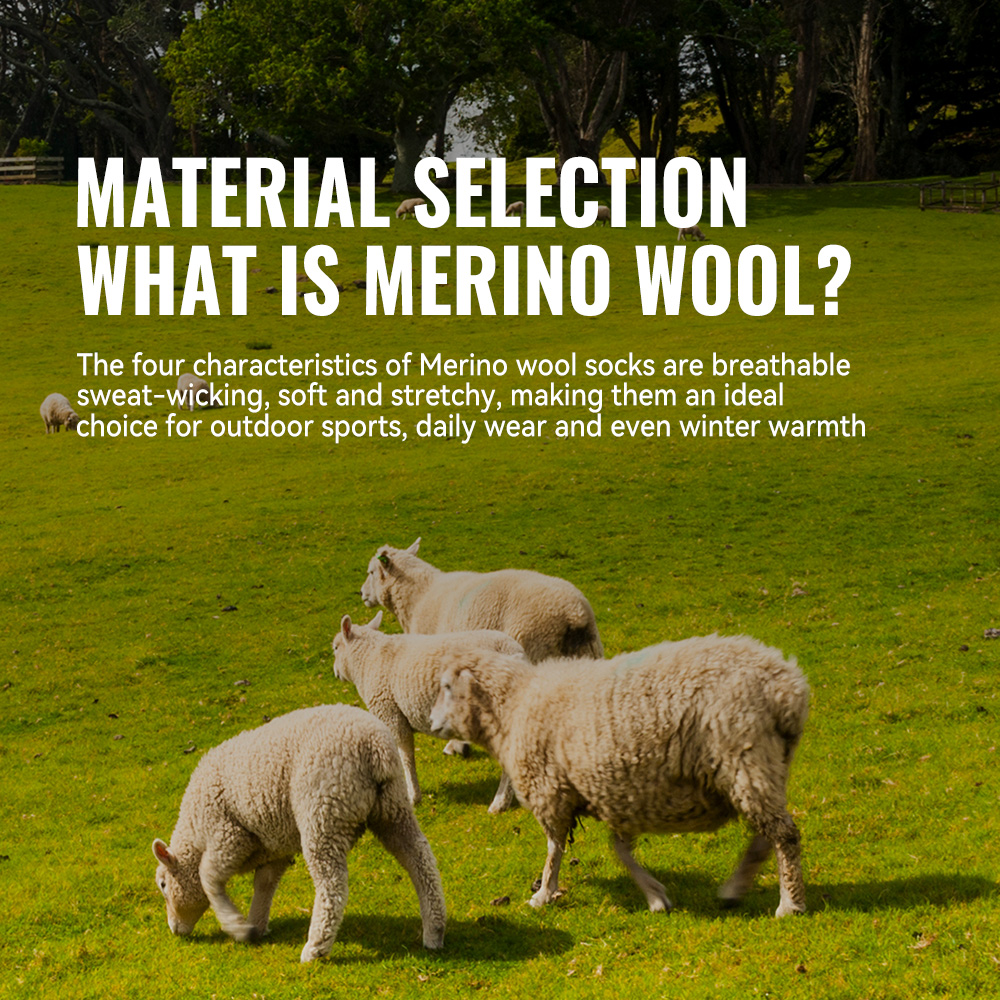 WRELS 1/2/3 Merino Wool Socks  - Wool Hiking Sock ulasan dan harga